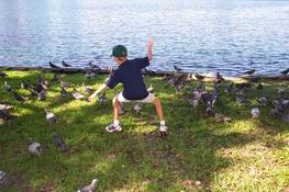 Alex is walking like a pigeon (to the pigeons, I'm sure he looked like King Kong!)