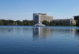 The boys and I are in that boat.  Look in the lower left corner - that's a mommy black swan with her three babies!