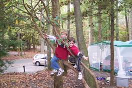 Master tree climbers . . . .