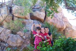 Crazy monkeys