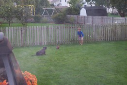 Jordan (Tom and Cheryl's dog) wanted to catch Alex's kick off
