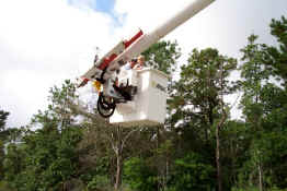 Riding the cherry picker!