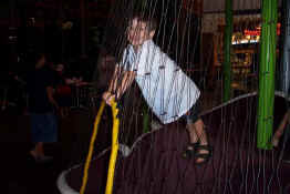 Patch climbing the play structure at the mall