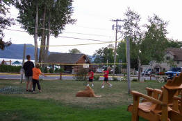 Playing badminton with some other guests at the lodge