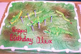 The first time I let Publix do the cake - they did okay.  ;-)