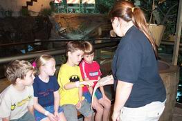 Petting the bearded dragon
