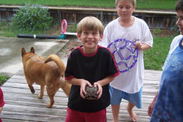 Grendel discovered a tortoise trying to make his away through the back yard (suddenly I miss Trouble terribly)