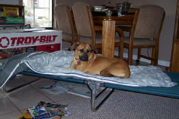 Grendel thinks she should have one, too!