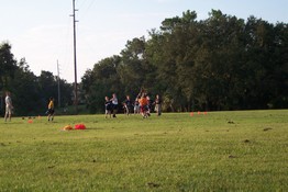 Alex is in the orange shirt, about to make a pass