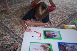 Making a snake life cycle illustration on the poster